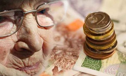 Připravovaná důchodová reforma kopíruje závěry OECD že současný systém je složitý