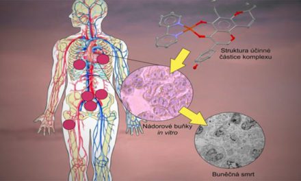 Olomoučtí vědci vyvinuli látky, které ničí nádorové buňky